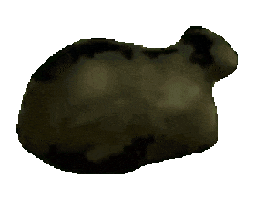 OIIA Spinning Cat